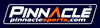 PinnacleSports - Обзор букмекерской конторы PinnacleSports